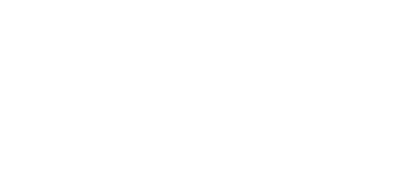 Partner 2